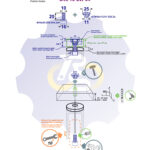 M10x20 Zn Varžtas cilindrine galva + NEM10 x 13 Zn Įkalama veržlė