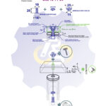 M10 x 20 Zn Varžtas cilindrine galva + spyruoklinė poveržlė + NEM10 x 13 Įkalama veržlė