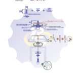 M10 x 20 Zn Varžtas cilindrine galva + spyruoklinė poveržlė + poveržlė