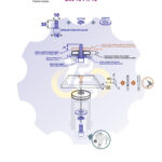M10 x 30 Sw Varžtas cilindrine galva + spyruoklinė poveržlė + poveržlė