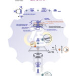 M10 x 30 Sw Varžtas cilindrine galva + spyruoklinė poveržlė + poveržlė + N10S Veržlė