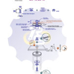 M10 x 30 Sw Varžtas cilindrine galva + spyruoklinė poveržlė + poveržlė + N10S Veržlė