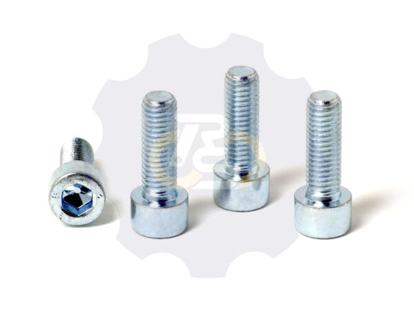 4 vienetai – M10x30 Zn Varžtas cilindrine galva, cinkuotas