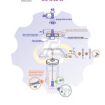 M10x30 Zn Varžtas cilindrine galva, cinkuotas