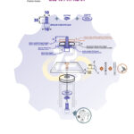 M10 x 30 Zn Varžtas cilindrine galva + spyruoklinė poveržlė + poveržlė