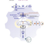M10 x 30 Zn Varžtas cilindrine galva + spyruoklinė poveržlė + poveržlė