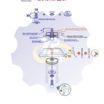 M10 x 30 Zn Varžtas cilindrine galva + spyruoklinė poveržlė + poveržlė