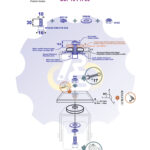 M10 x 30 Zn Varžtas cilindrine galva + spyruoklinė poveržlė + poveržlė + N10S Veržlė