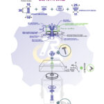 M10 x 30 Zn Varžtas cilindrine galva + spyruoklinė poveržlė + poveržlė + NEM10 x 13 Įkalama veržlė