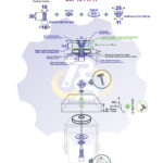 M10 x 30 Zn Varžtas cilindrine galva + spyruoklinė poveržlė + poveržlė + NEM10 x 13 Įkalama veržlė