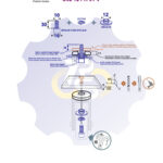M10 x 30 Zn Varžtas cilindrine galva + spyruoklinė poveržlė + kiaurymės sumažinimo įvorė