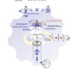 M10 x 30 Zn Varžtas cilindrine galva + spyruoklinė poveržlė + kiaurymės sumažinimo įvorė