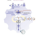 M10 x 30 Zn Varžtas cilindrine galva + spyruoklinė poveržlė + kiaurymės sumažinimo įvorė
