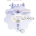 M10 x 30 Zn Varžtas cilindrine galva + spyruoklinė poveržlė + kiaurymės sumažinimo įvorė