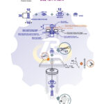 M10 x 30 Zn Varžtas cilindrine galva + spyruoklinė poveržlė + kiaurymės sumažinimo įvorė + N10S Veržlė