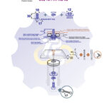 M10 x 30 Zn Varžtas šešiakampe galva + spyruoklinė poveržlė + kiaurymės sumažinimo įvorė