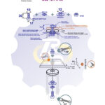 M10 x 30 Zn Varžtas šešiakampe galva + spyruoklinė poveržlė + kiaurymės sumažinimo įvorė + N10S Veržlė