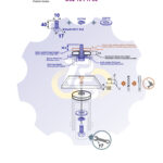 M10 x 40 Zn Varžtas šešiakampe galva + spyruoklinė poveržlė + poveržlė