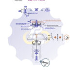 M10 x 40 Zn Varžtas šešiakampe galva + spyruoklinė poveržlė + poveržlė