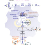 M10 x 40 Zn Varžtas šešiakampe galva + spyruoklinė poveržlė + poveržlė + O30/10 poveržlė + N10S Veržlė
