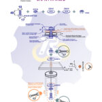 M10 x 40 Zn Varžtas šešiakampe galva + spyruoklinė poveržlė + poveržlė + O30/10 poveržlė + N10S Veržlė