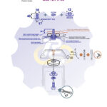 M10 x 40 Zn Varžtas šešiakampe galva + spyruoklinė poveržlė + kiaurymės sumažinimo įvorė