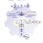 M10 x 40 Zn Varžtas šešiakampe galva + spyruoklinė poveržlė + kiaurymės sumažinimo įvorė