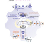 M10 x 40 Zn Varžtas šešiakampe galva + spyruoklinė poveržlė + kiaurymės sumažinimo įvorė