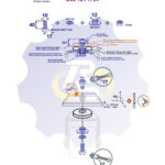 M10 x 40 Zn Varžtas šešiakampe galva + spyruoklinė poveržlė + kiaurymės sumažinimo įvorė + N10S Veržlė