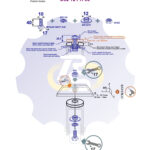 M10 x 40 Zn Varžtas šešiakampe galva + spyruoklinė poveržlė + kiaurymės sumažinimo įvorė + N10S Veržlė