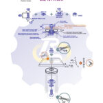 M10 x 40 Zn Varžtas šešiakampe galva + spyruoklinė poveržlė + kiaurymės sumažinimo įvorė + N10S Veržlė
