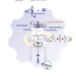 M12 x 25 Zn Varžtas šešiakampe galva + spyruoklinė poveržlė