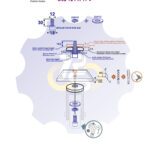 M12 x 30 Zn Varžtas cilindrine galva + spyruoklinė poveržlė + poveržlė