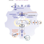 M12 x 30 Zn Varžtas cilindrine galva + spyruoklinė poveržlė + poveržlė