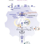 M12 x 30 Zn Varžtas cilindrine galva + spyruoklinė poveržlė + poveržlė + N12S Veržlė