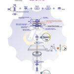 M12 x 30 Zn Varžtas cilindrine galva + spyruoklinė poveržlė + poveržlė + O37/12 poveržlė + N12S Veržlė
