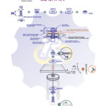 M12 x 30 Zn Varžtas cilindrine galva + spyruoklinė poveržlė + poveržlė + O37/12 poveržlė + N12S Veržlė