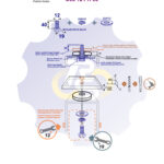 M12 x 40 Sw Varžtas šešiakampe galva + spyruoklinė poveržlė + poveržlė