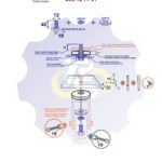 M12 x 40 Sw Varžtas šešiakampe galva + spyruoklinė poveržlė + poveržlė