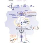 M12 x 40 Sw Varžtas šešiakampe galva + spyruoklinė poveržlė + poveržlė + N12S Veržlė