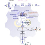 M12 x 40 Sw Varžtas šešiakampe galva + spyruoklinė poveržlė + poveržlė + O37/12 poveržlė + N12S Veržlė
