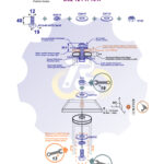 M12 x 40 Sw Varžtas šešiakampe galva + spyruoklinė poveržlė + poveržlė + O37/12 poveržlė + N12S Veržlė