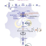 M12 x 40 Sw Varžtas šešiakampe galva + spyruoklinė poveržlė + poveržlė + O37/12 poveržlė + N12S Veržlė
