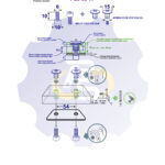 2 vienetai – M6 x 10 Zn Varžtas, cilindrine galva + 2 vienetai – NTM6 x 12 Zn T-formos veržlė