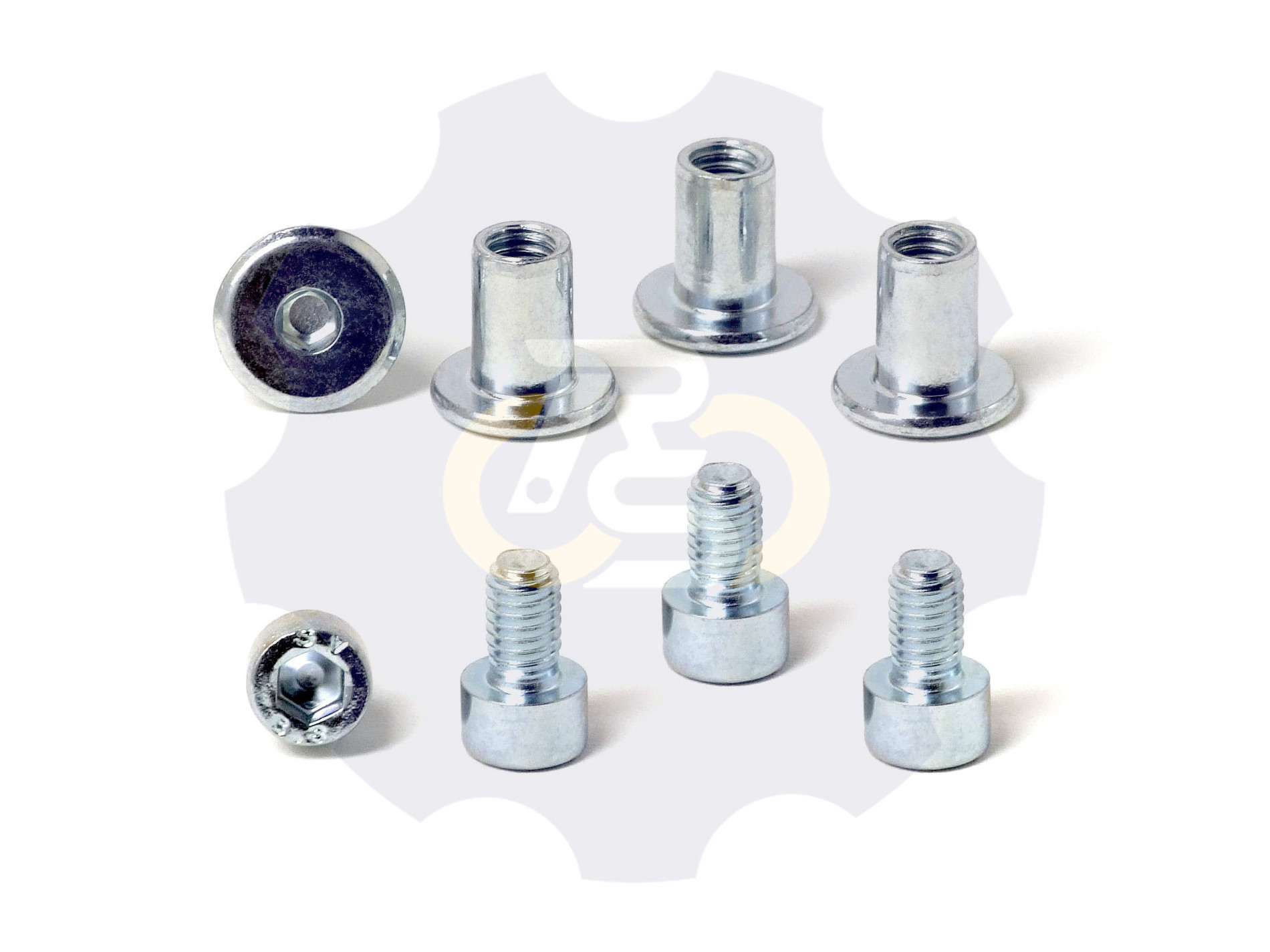 4 vienetai – M6 x 10 Zn Varžtas, cilindrine galva + 4 vienetai – NTM6 x 12 Zn T-formos veržlė