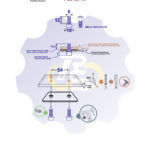 2 vienetai – M6 x 12 Zn Varžtas, cilindrine galva, cinkuotas