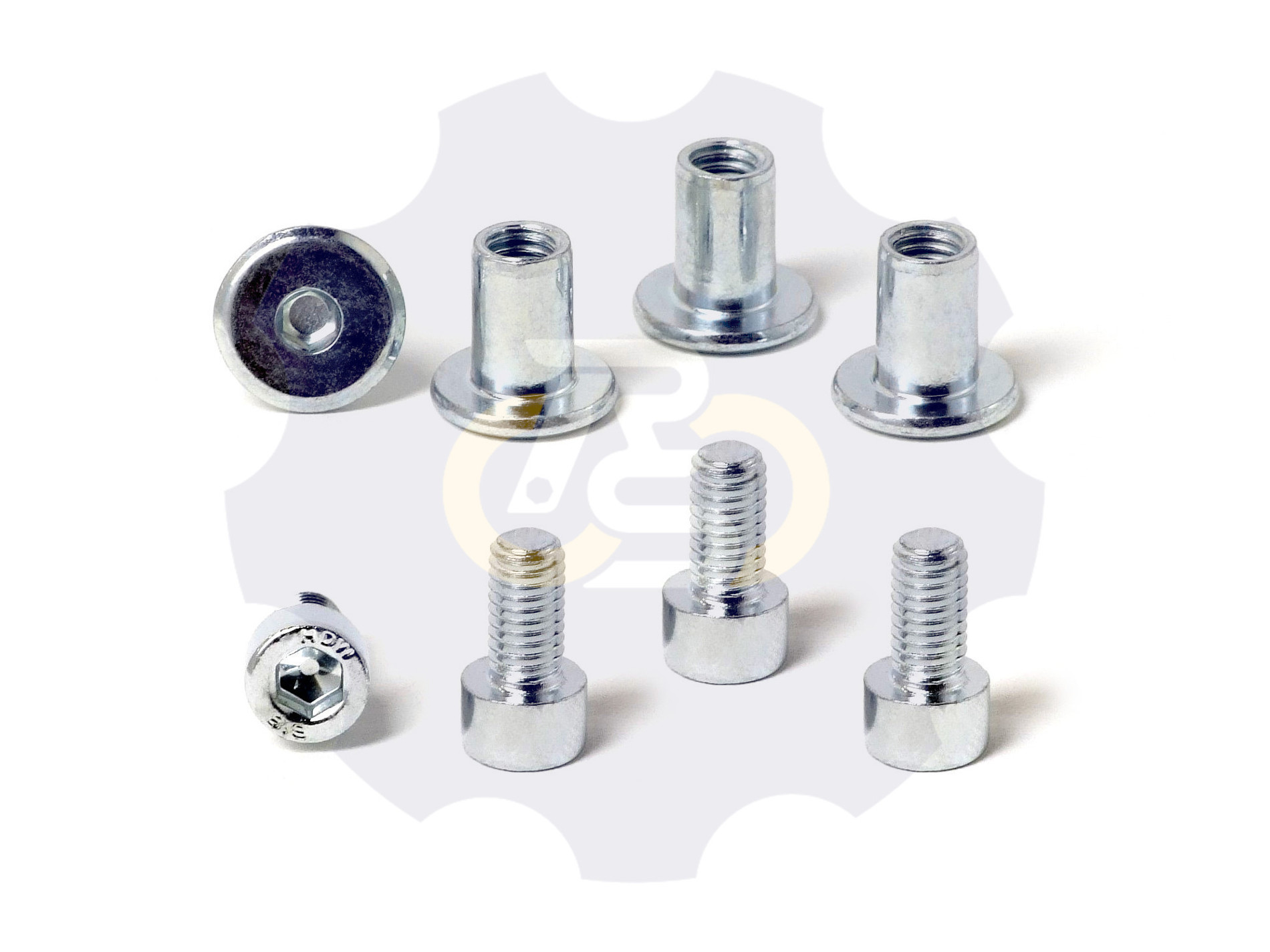 4 vienetai – M6 x 12 Zn Varžtas, cilindrine galva + 4 vienetai – NTM6 x 12 Zn T-formos veržlė