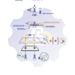 2 vienetai – M6 x 16 Zn Varžtas, cilindrine galva, cinkuotas