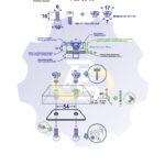 2 vienetai – M6 x 16 Zn Varžtas, cilindrine galva + 2 vienetai – NEM6x9 Įkalama veržlė
