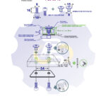 2 vienetai – M6 x 16 Zn Varžtas, cilindrine galva + 2 vienetai – NTM6 x 12 Zn T-formos veržlė